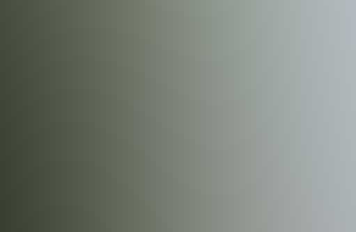 网页短信轰炸机